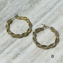 Load image into Gallery viewer, Earrings - 164