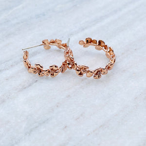 Earrings - 172